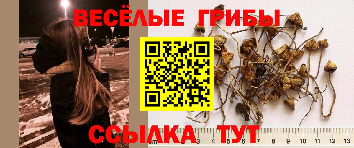 Галлюциногенные грибы мицелий  Вход с VPN  Пугачёв  даркнет сайт  Галлюциногенные грибы GOLDEN TEACHER 